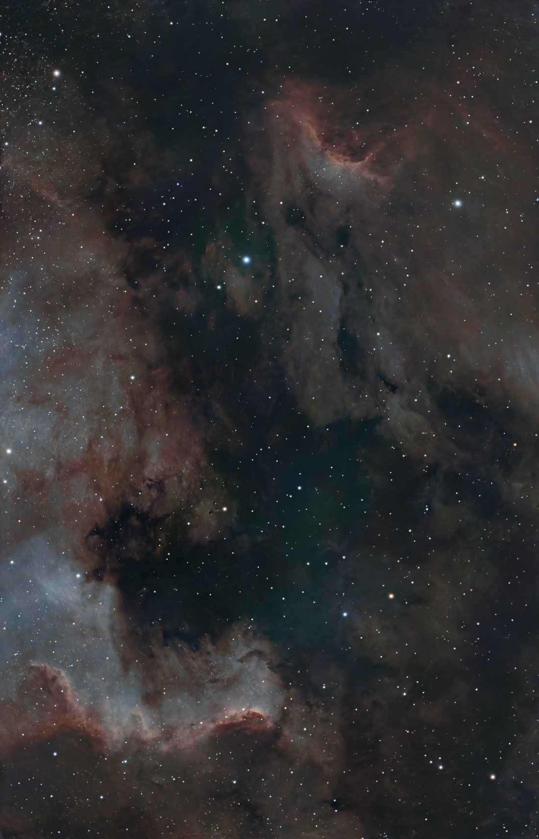 NGC 7000 in narrowband colour